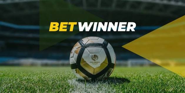 BetWinner Mobile Casino A Comprehensive Review