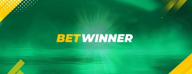 Comprehensive Overview of BetWinner Casino 799341755